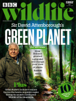 @Magazinesy BBC Wildlife Magazine - Feb 2022.pdf